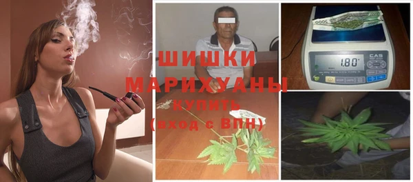 PSILOCYBIN Осинники