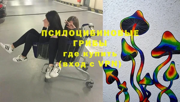 экстази Няндома