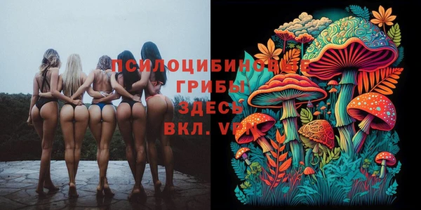 хмурый Нягань