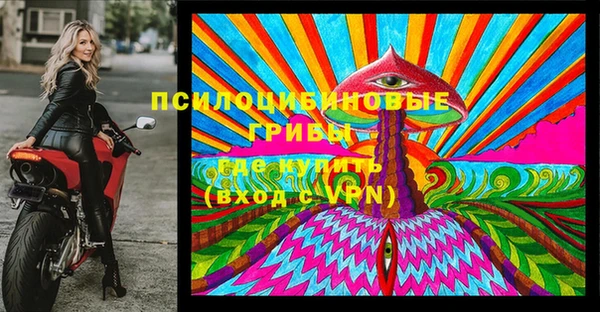 экстази Няндома
